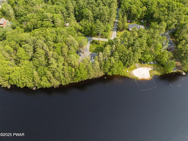 132 N Lake Shore Dr, Dingmans Ferry, PA 18328 - aerial view of a nearby body of water and a forest