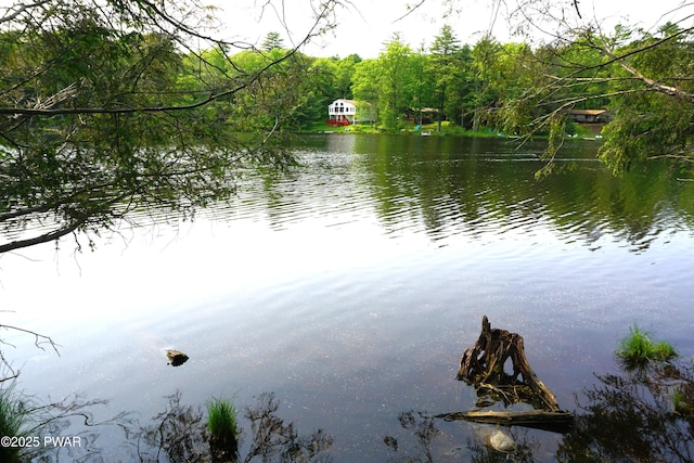 132 N Lake Shore Dr, Dingmans Ferry, PA 18328 - water view
