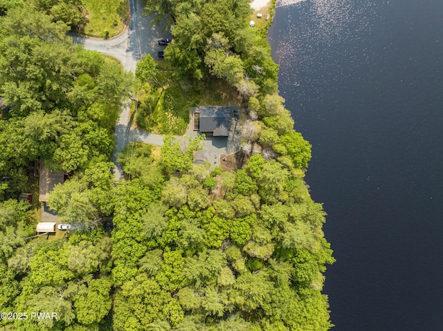 132 N Lake Shore Dr, Dingmans Ferry, PA 18328 - drone / aerial view of a large body of water