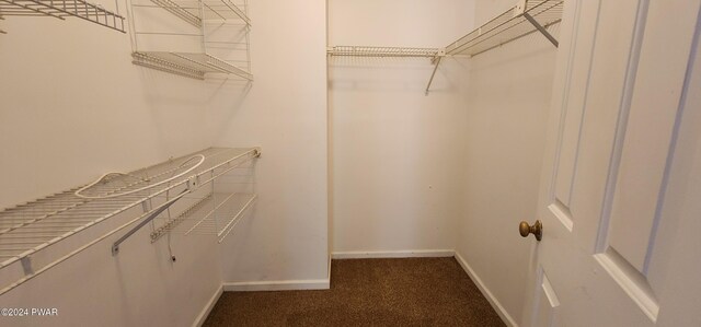 walk in closet with dark carpet