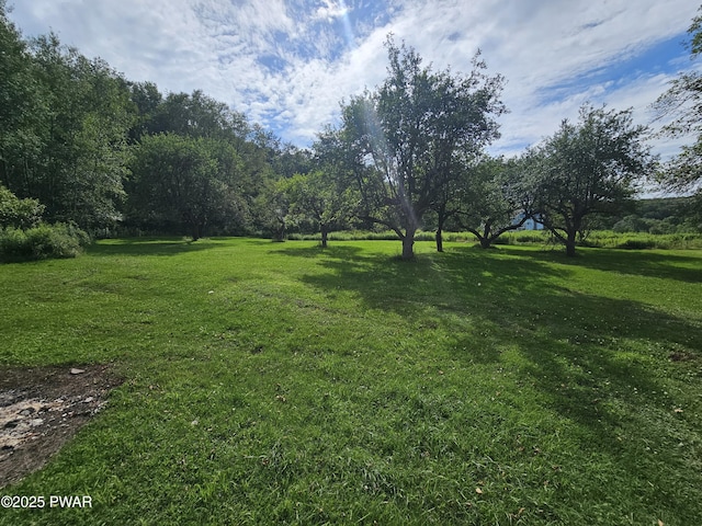194 Como Rd, Lakewood, PA 18439 - photo 12
