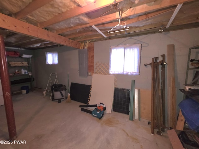 22 Thornwood Ter, Lake Ariel, PA 18436 - below grade area with electric panel
