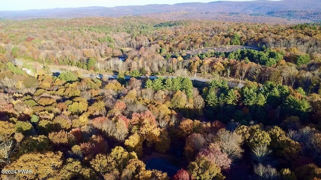 bird's eye view with a mountain view