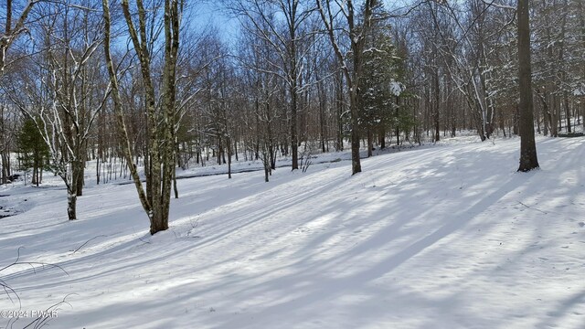 view of snowy yard