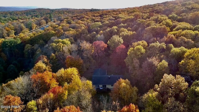 bird's eye view