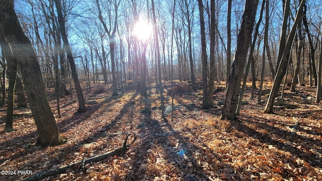 Listing photo 2 for LOT4 Bluegill Rd, Milford PA 18337