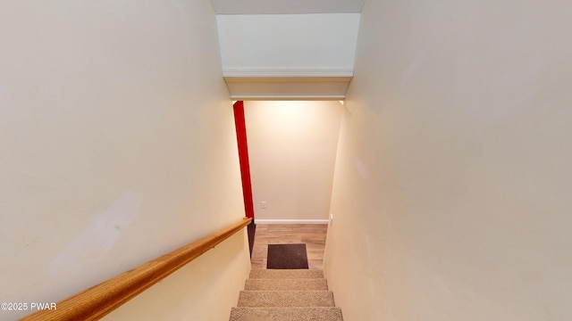 stairway featuring carpet floors