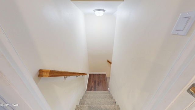 stairway with wood-type flooring