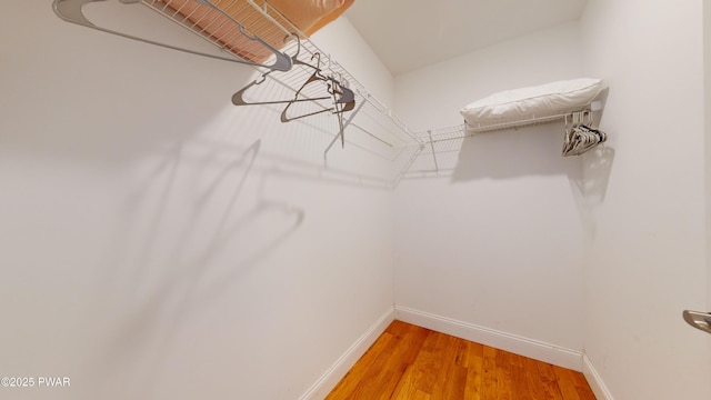 spacious closet with hardwood / wood-style floors