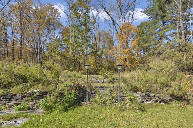 517 Sherman Rd, Susquehanna, PA 18847 - view of yard
