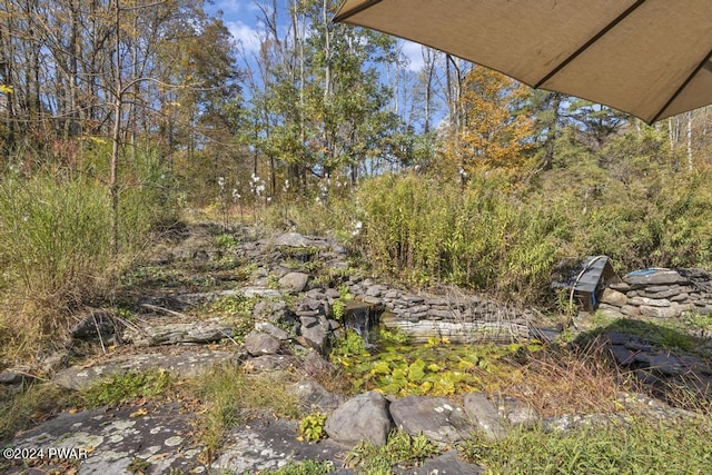 517 Sherman Rd, Susquehanna, PA 18847 - view of yard
