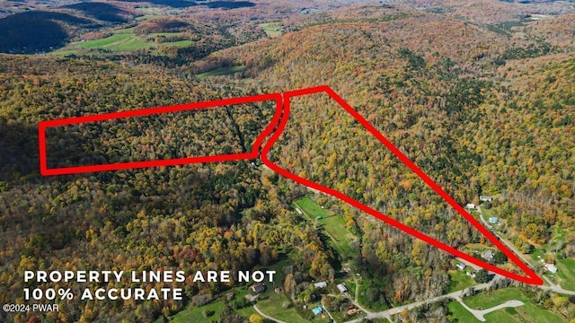 517 Sherman Rd, Susquehanna, PA 18847 - aerial view of property's location featuring a forest, property boundaries highlighted, and a mountainous background