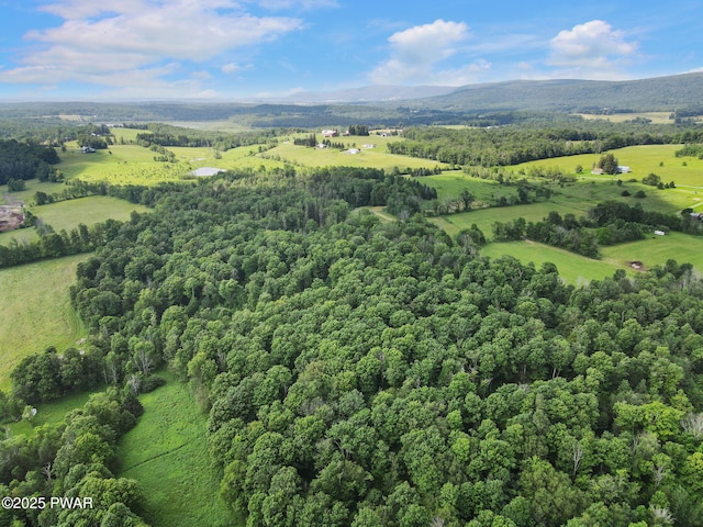 58 Rude Rd, Waymart, PA 18472 - view of rural area