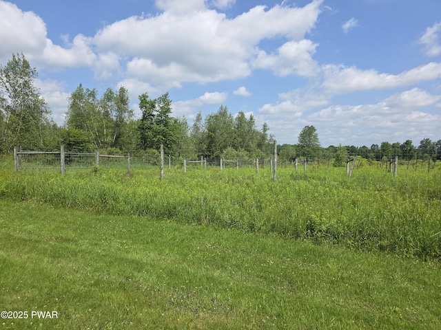 58 Rude Rd, Waymart, PA 18472 - view of yard with a view of rural / pastoral area