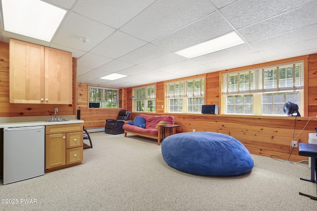 58 Rude Rd, Waymart, PA 18472 - interior space featuring dishwasher, wood walls, light colored carpet, plenty of natural light, and light countertops