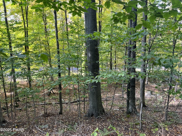 116 Falcon Crst, Greentown, PA 18426 - photo 4