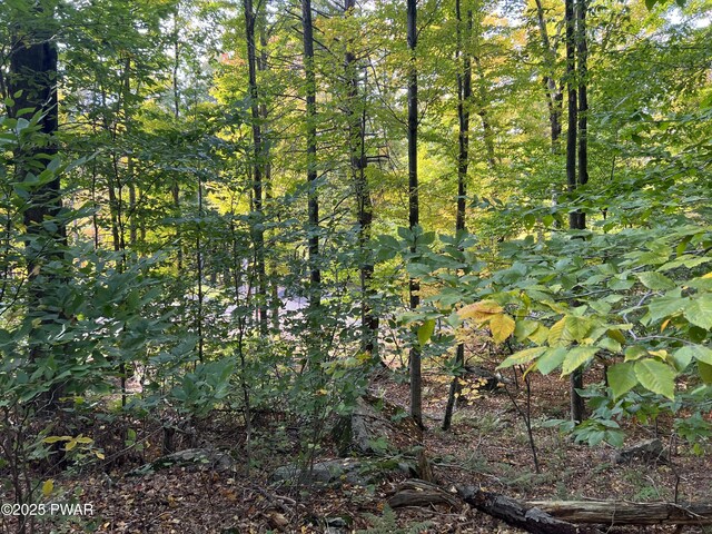 116 Falcon Crst, Greentown, PA 18426 - photo 7