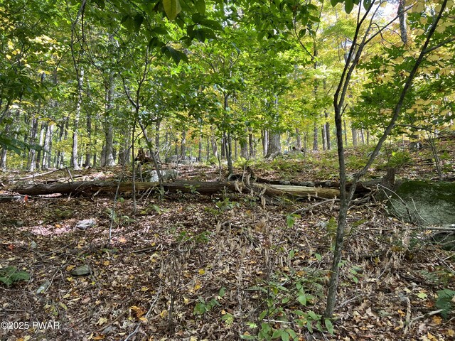 116 Falcon Crst, Greentown, PA 18426 - photo 8
