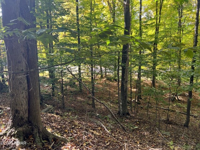 116 Falcon Crst, Greentown, PA 18426 - photo 5