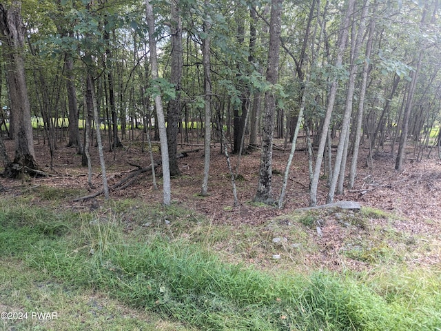 LOT1 High Ridge Rd, Dingmans Ferry PA, 18328 land for sale