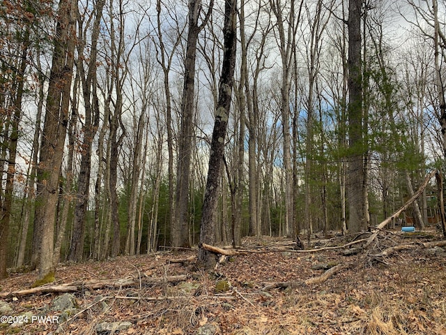 Listing photo 3 for LOT21 Ridge View Rd, Hawley PA 18428