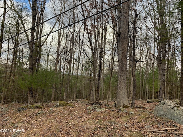 LOT21 Ridge View Rd, Hawley, PA 18428 - photo 2