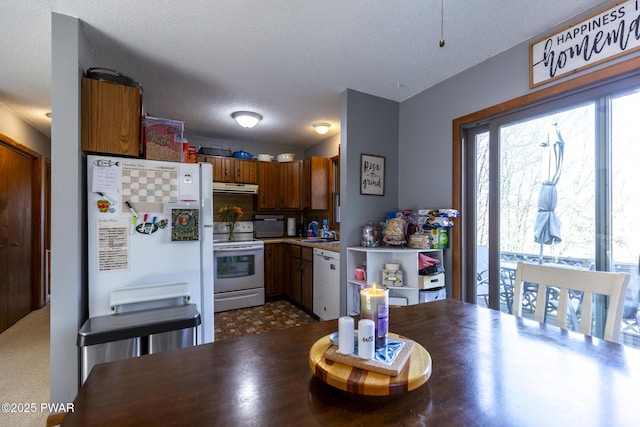 kitchen featuring under cabinet range hood, light countertops, white appliances, a textured ceiling, and a sink