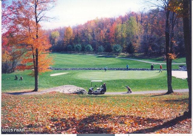 surrounding community with a lawn and a forest view