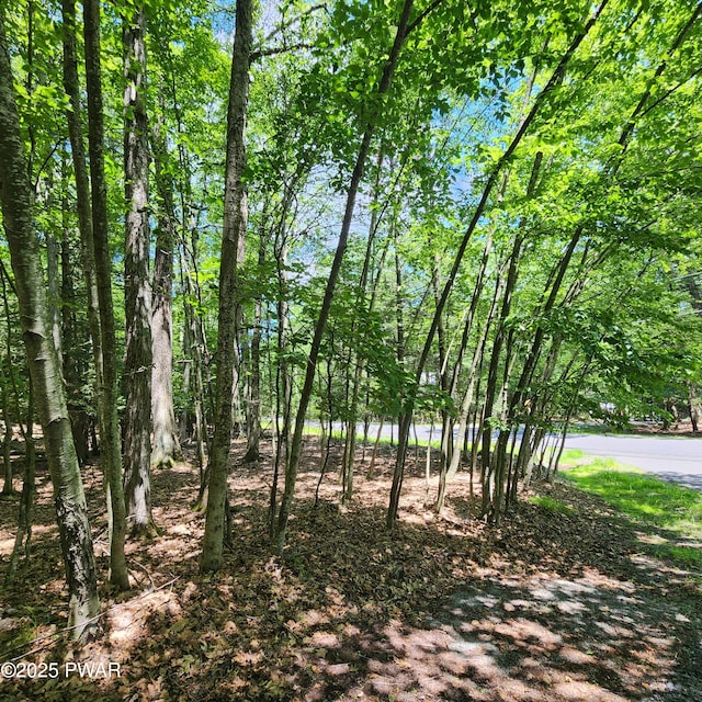 145 Indian Dr, Greentown, PA 18426 - photo 1