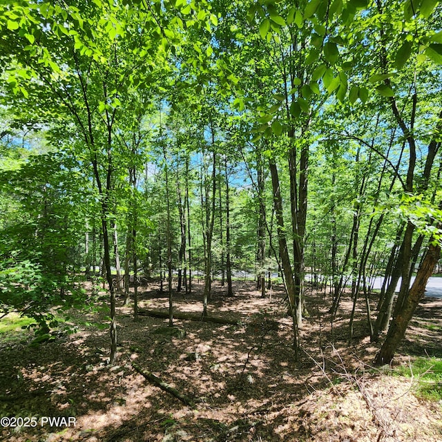 145 Indian Dr, Greentown, PA 18426 - photo 4