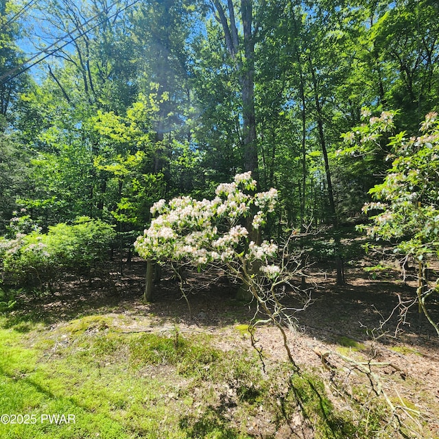145 Indian Dr, Greentown, PA 18426 - photo 3