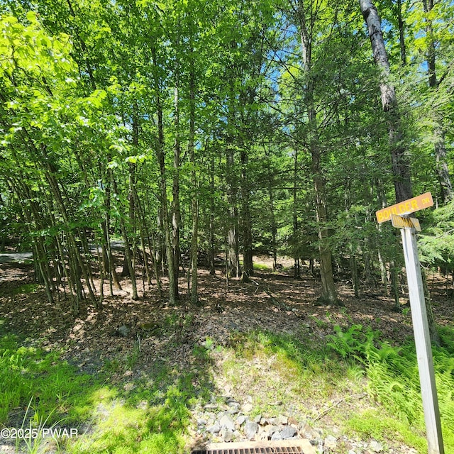 145 Indian Dr, Greentown, PA 18426 - photo 2