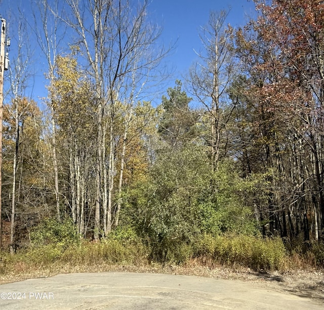 Listing photo 3 for LOT23 Laurel Dr, Honesdale PA 18431