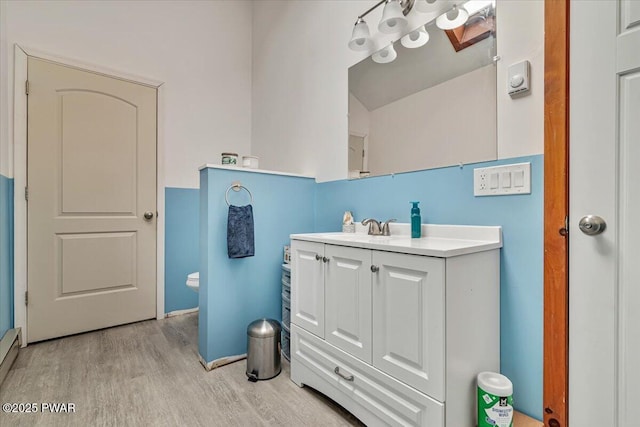 bathroom with wood-type flooring and vanity