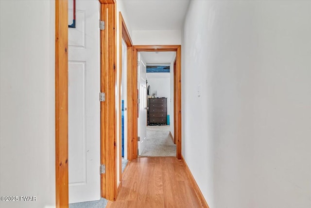 corridor featuring light hardwood / wood-style flooring