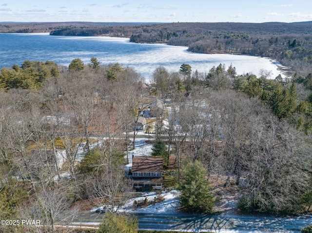 132 Spruce Rd, Tafton, PA 18464 - bird's eye view of a large body of water and a forest