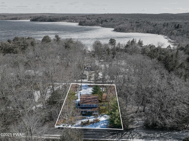 132 Spruce Rd, Tafton, PA 18464 - snowy aerial view featuring property boundaries highlighted, a view of trees, and a water view