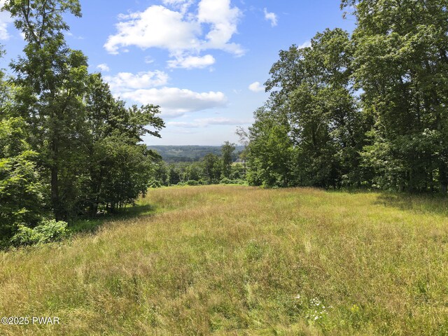 Golf Hill Rd, Honesdale, PA 18431 - photo 3