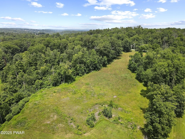 Golf Hill Rd, Honesdale, PA 18431 - photo 7