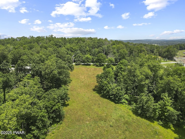 Golf Hill Rd, Honesdale, PA 18431 - photo 5