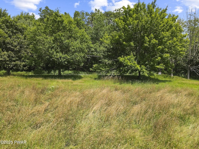 Golf Hill Rd, Honesdale, PA 18431 - photo 4