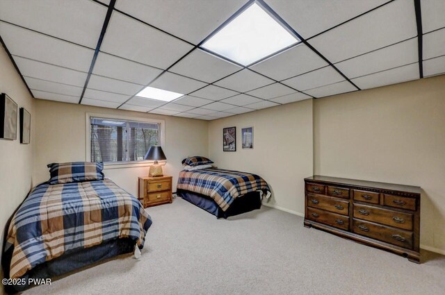 809 Blackbirch Ct, Lords Valley, PA 18428 - photo 72