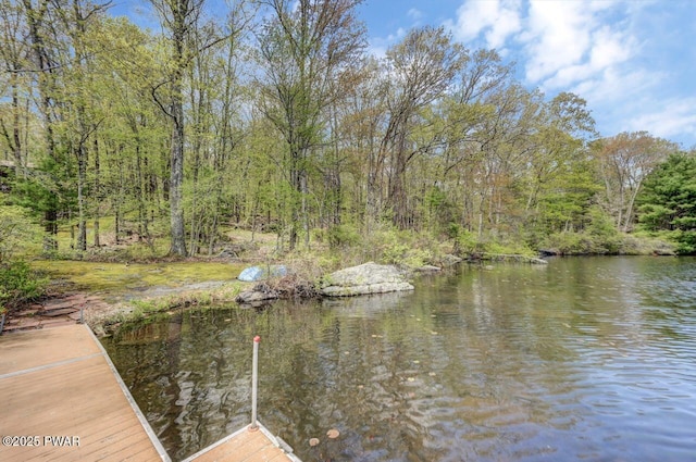 809 Blackbirch Ct, Lords Valley, PA 18428 - photo 91