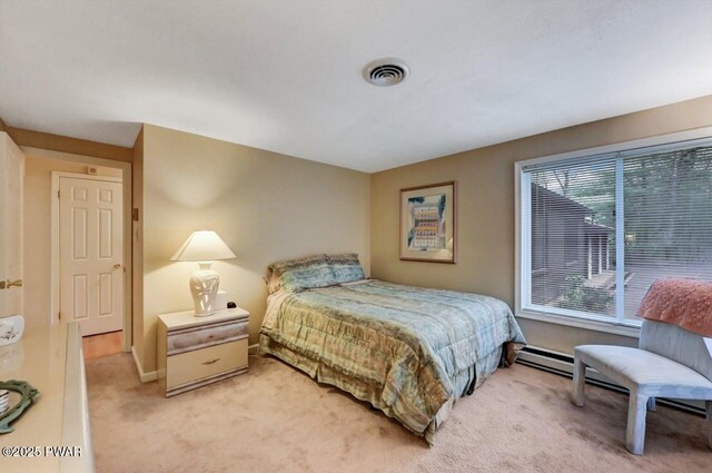 809 Blackbirch Ct, Lords Valley, PA 18428 - photo 47