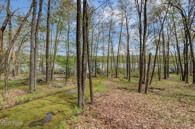 809 Blackbirch Ct, Lords Valley, PA 18428 - photo 94