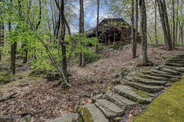 809 Blackbirch Ct, Lords Valley, PA 18428 - photo 95