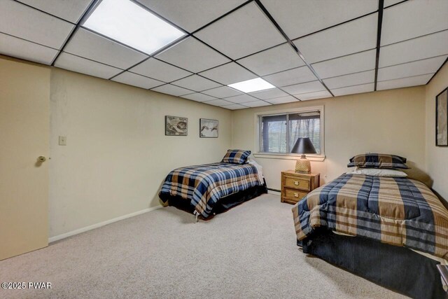 809 Blackbirch Ct, Lords Valley, PA 18428 - photo 74