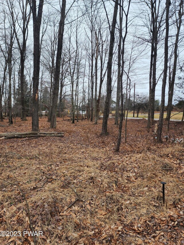 101 Hazelton Dr, Greentown, PA 18426 - photo 3
