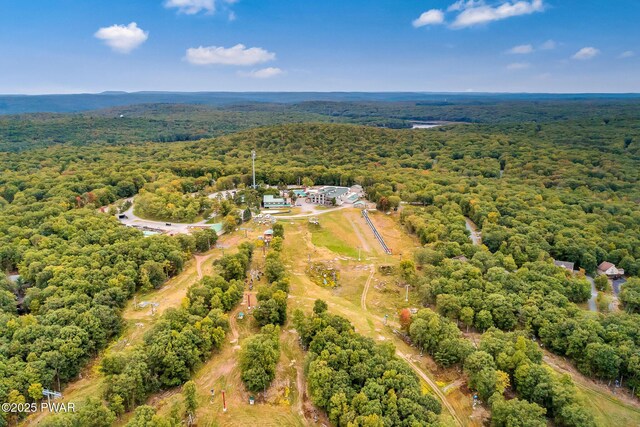 114 Militia Ct, Lackawaxen, PA 18435