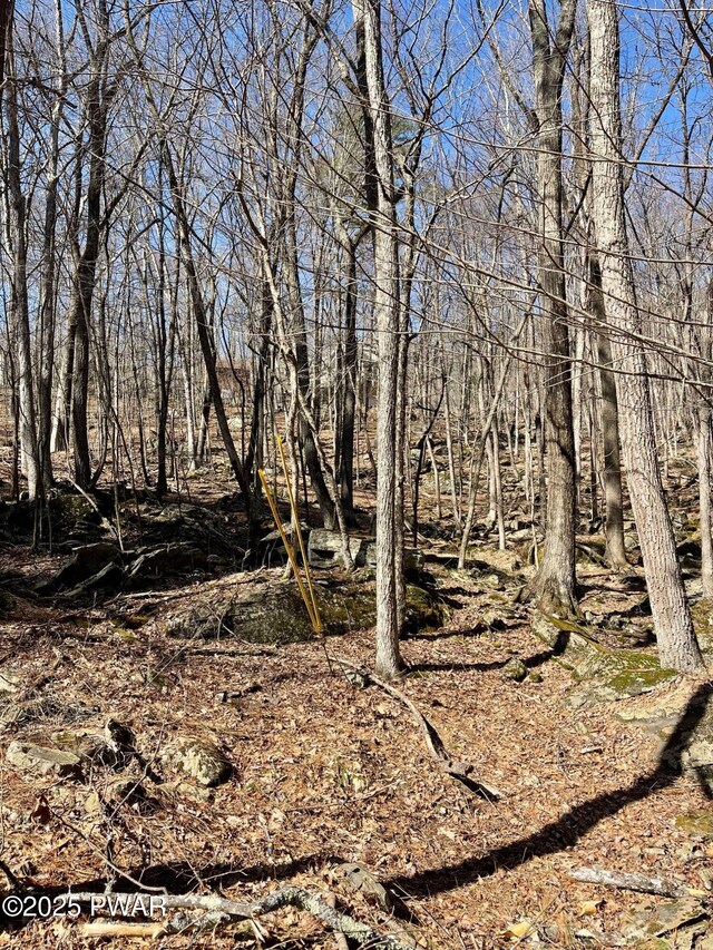 114 Militia Ct, Lackawaxen, PA 18435
